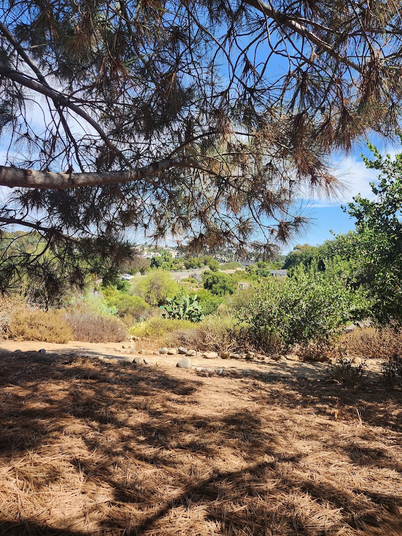 Collier Park — photo 2